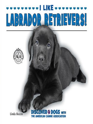 cover image of I Like Labrador Retrievers!